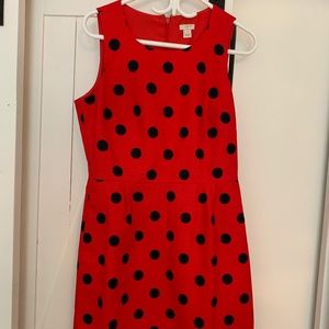 J. Crew Red and Dark Navy Polka Dot Dress (8)